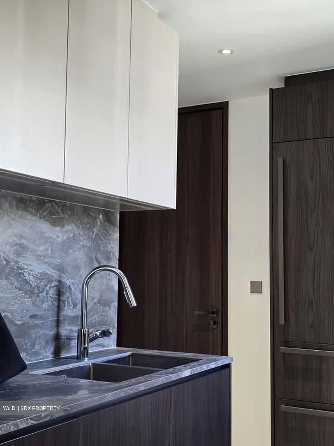 Leedon Green (D10), Condominium #527438121